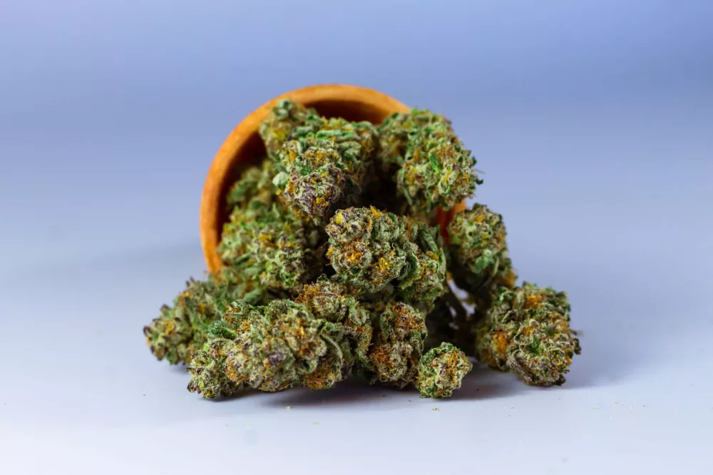 Liberty Health Sciences: A Deep Dive into Florida's Cannabis Landscape